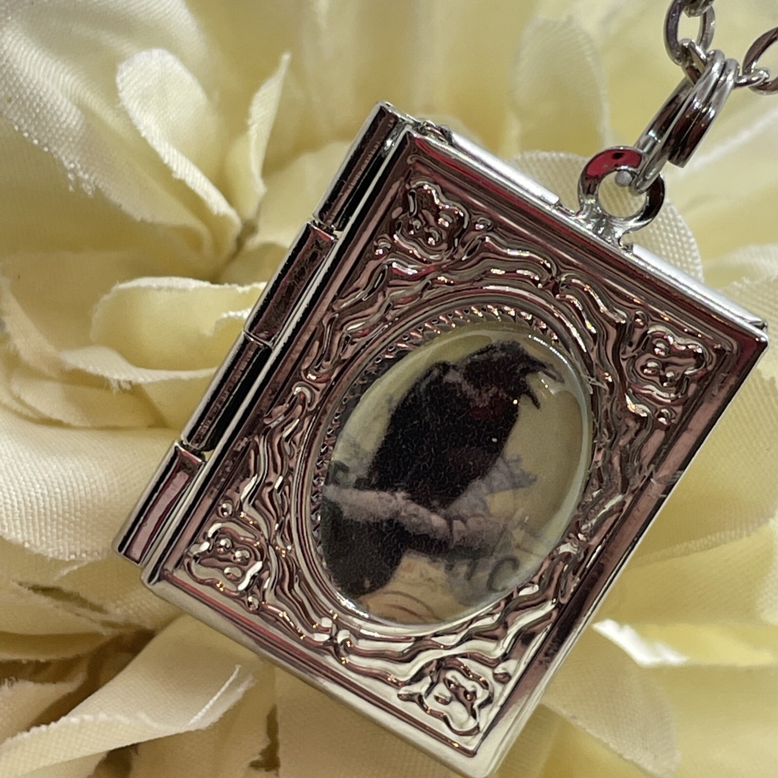 Black Gothic Raven Silver New Pendant Locket Necklace Crow Photo Book birthday