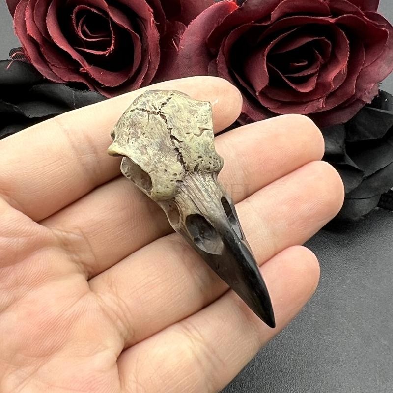2pcs 3D Crow Skull Pendant Necklace Magpie Gothic Men’s Halloween Jewelry Gift
