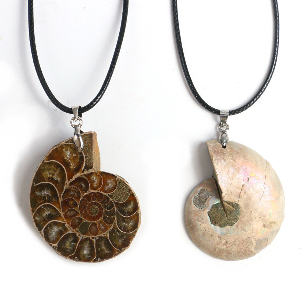 100% Natural Polished Ammonite Fossil Pendant Leather Choker Conch Necklace