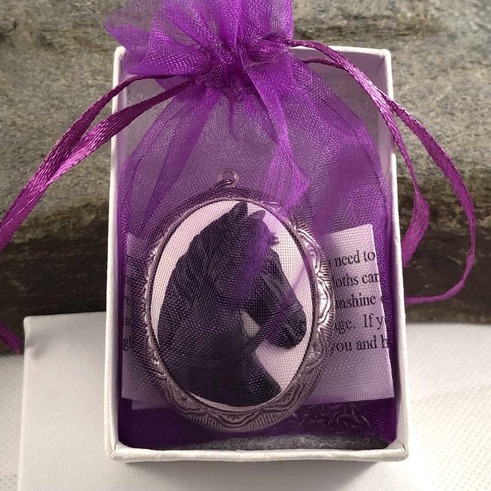 Black Horse Cameo Locket Necklace, Antique Silver, Memory Photo Keepsakes Box