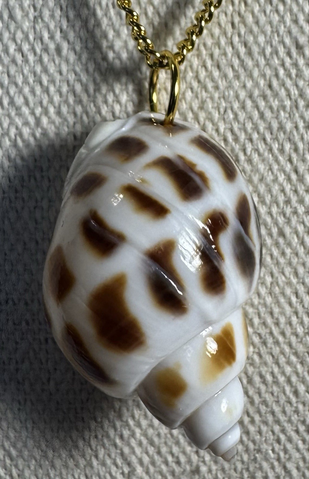 Natural Brown & White Conch Shell Pendant On Golden Chain Made By 927 Designs