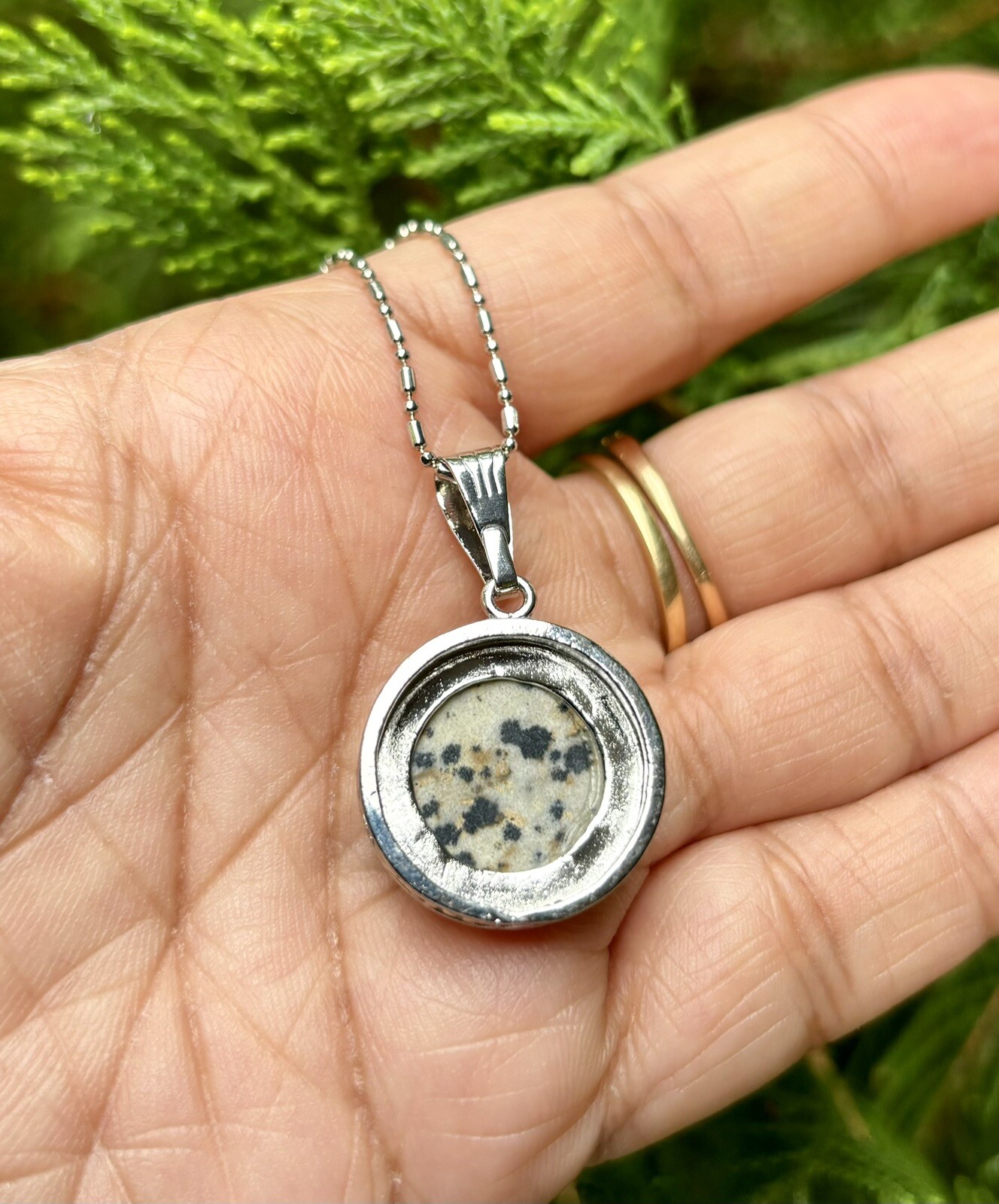 White Gold Filled Dalmation Jasper Fashion Pendant Locket FREE ASSORTED CHAIN #3