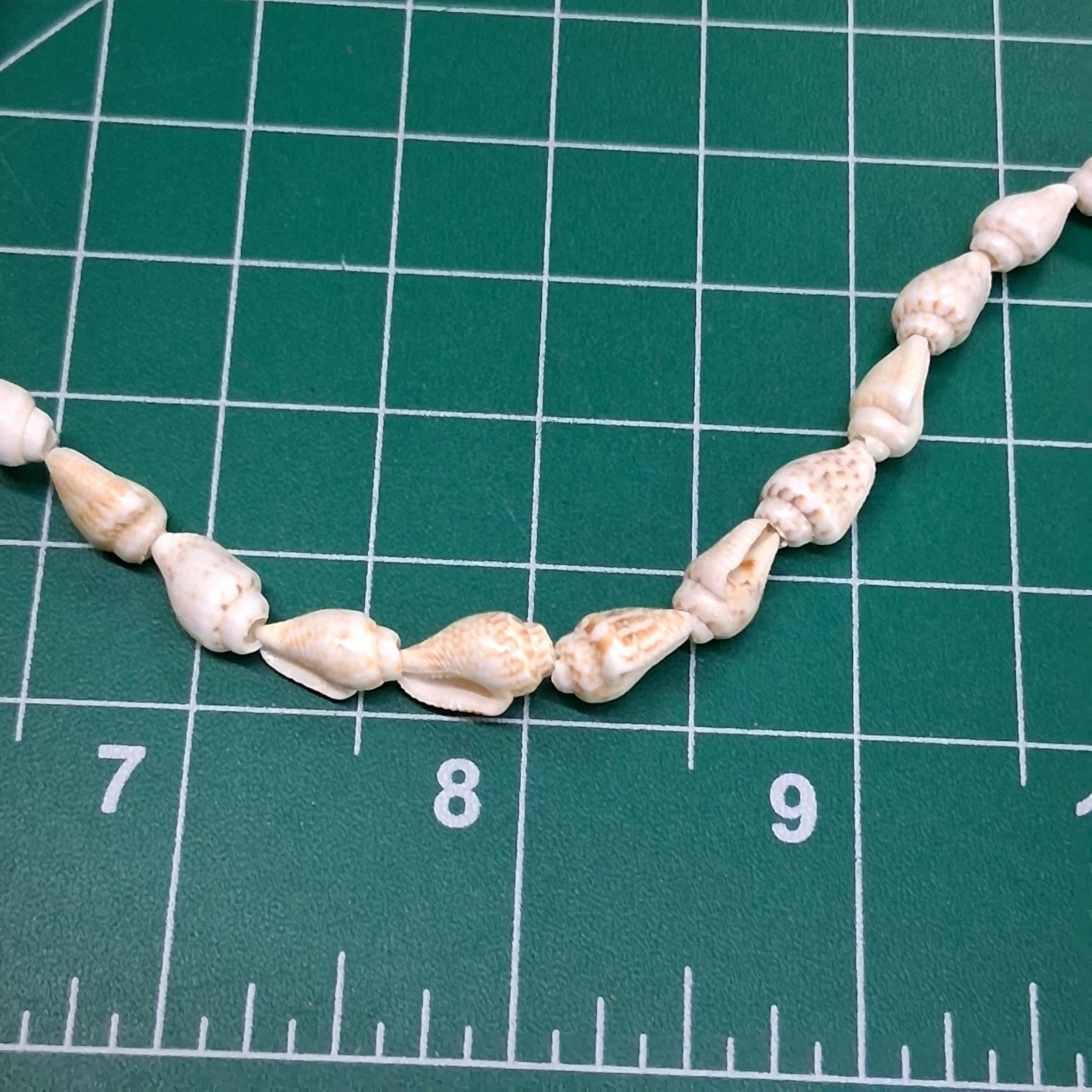 Vintage Small Conch & Glossy Tan Sea Shell 36” Necklace