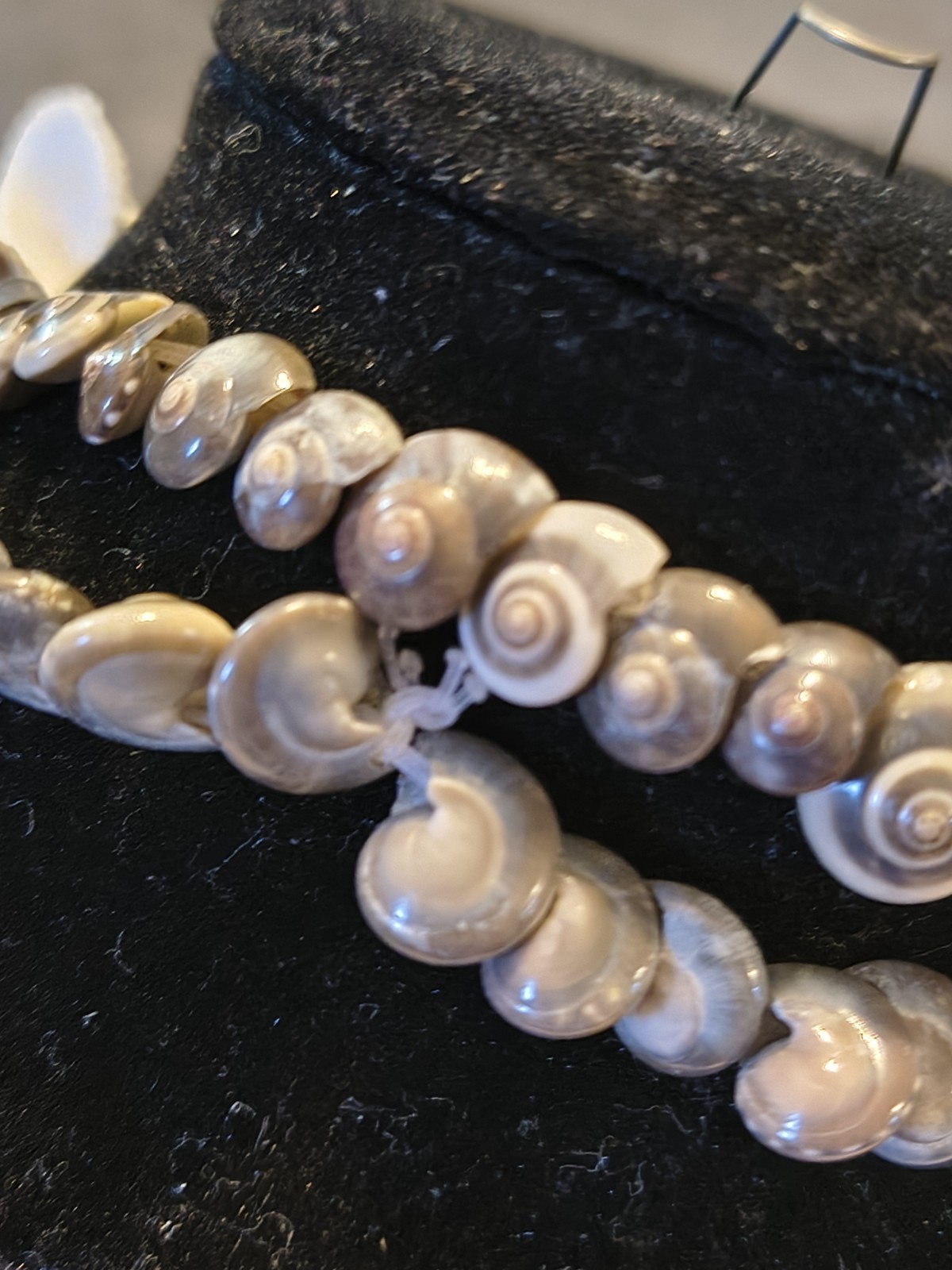 Seashell Long Necklace Great For Summer Fashion Or Anytime You Miss Summer Beach