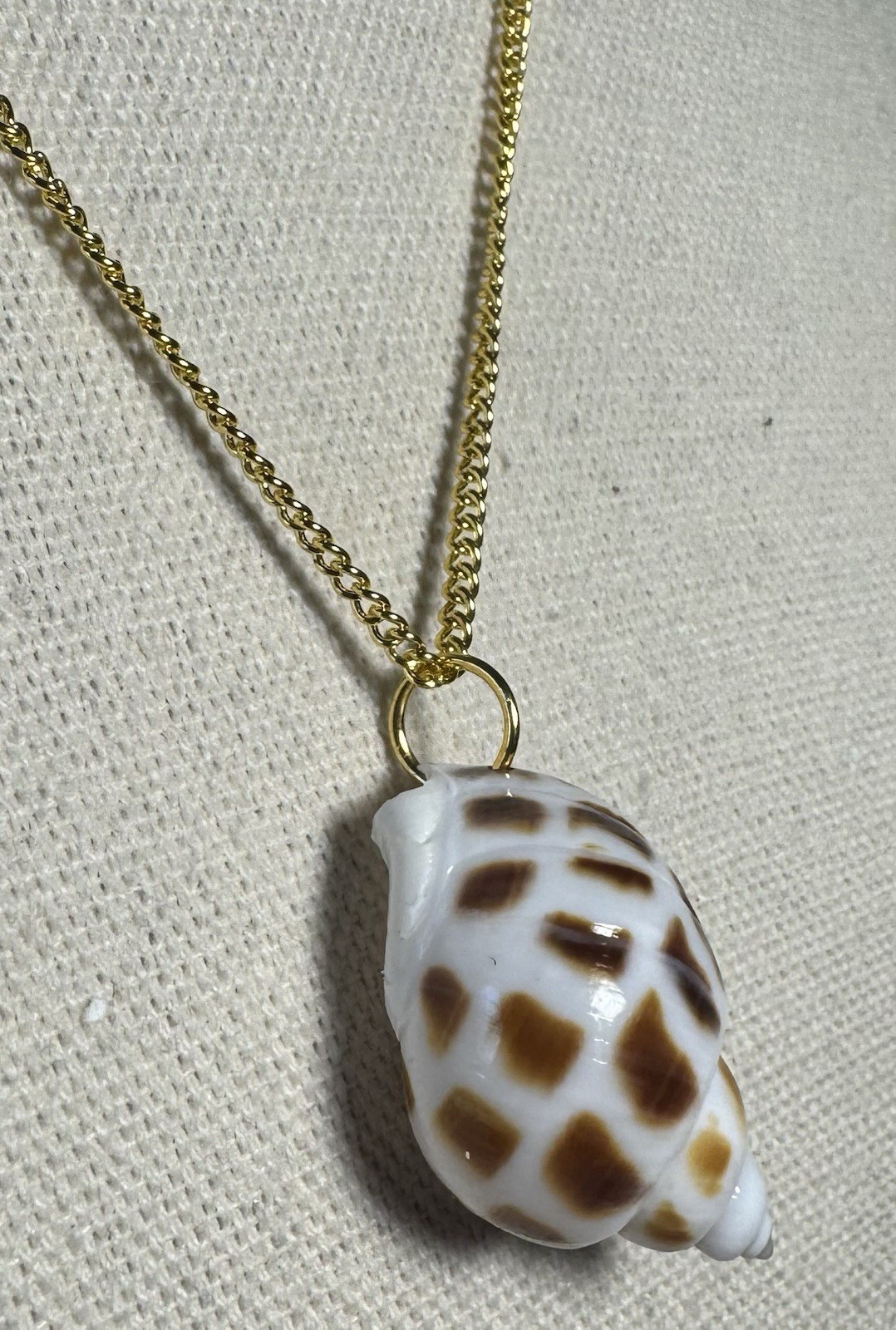 Natural Brown & White Conch Shell Pendant On Golden Chain Made By 927 Designs