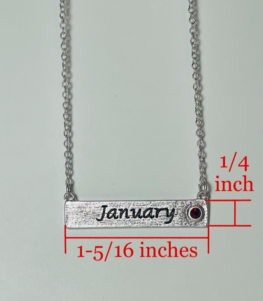 Personalized January Birthstone Necklace Bar Pendant Dainty Silver Plated