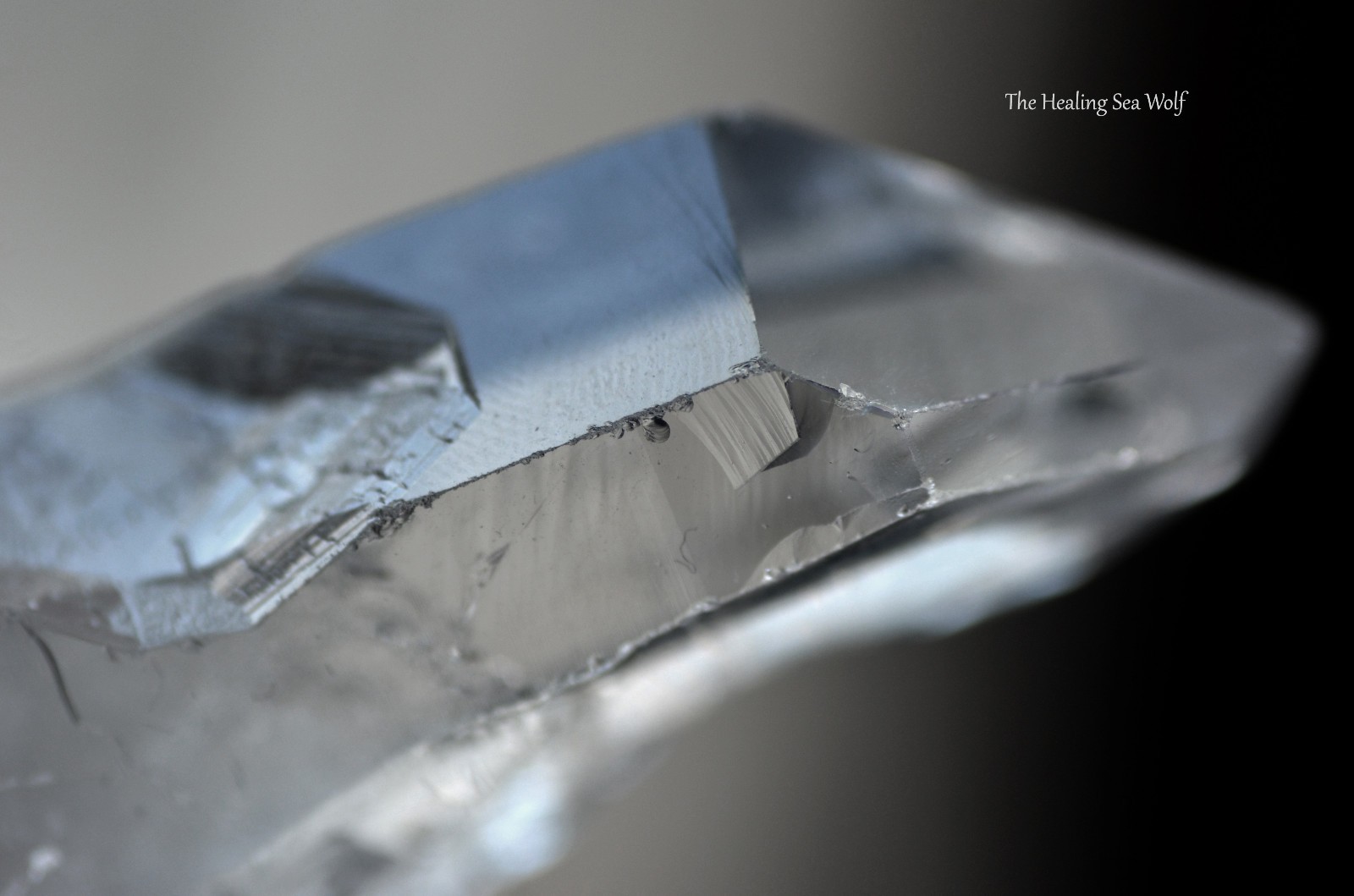 Diamantina Clear Quartz Necklace with Rare Curved Timelines • Manifestation Ally