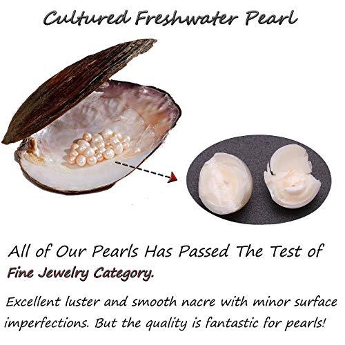 Single Cultured Freshwater Pearl Choker Necklace -Genuine Black or Brown Leather