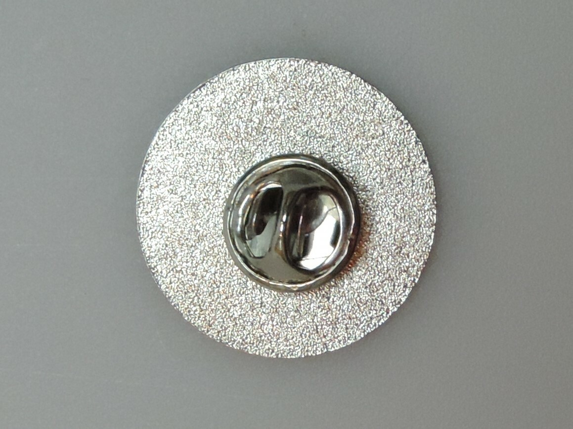 UNITED STATES MARINE CORPS VETERAN LAPEL PIN