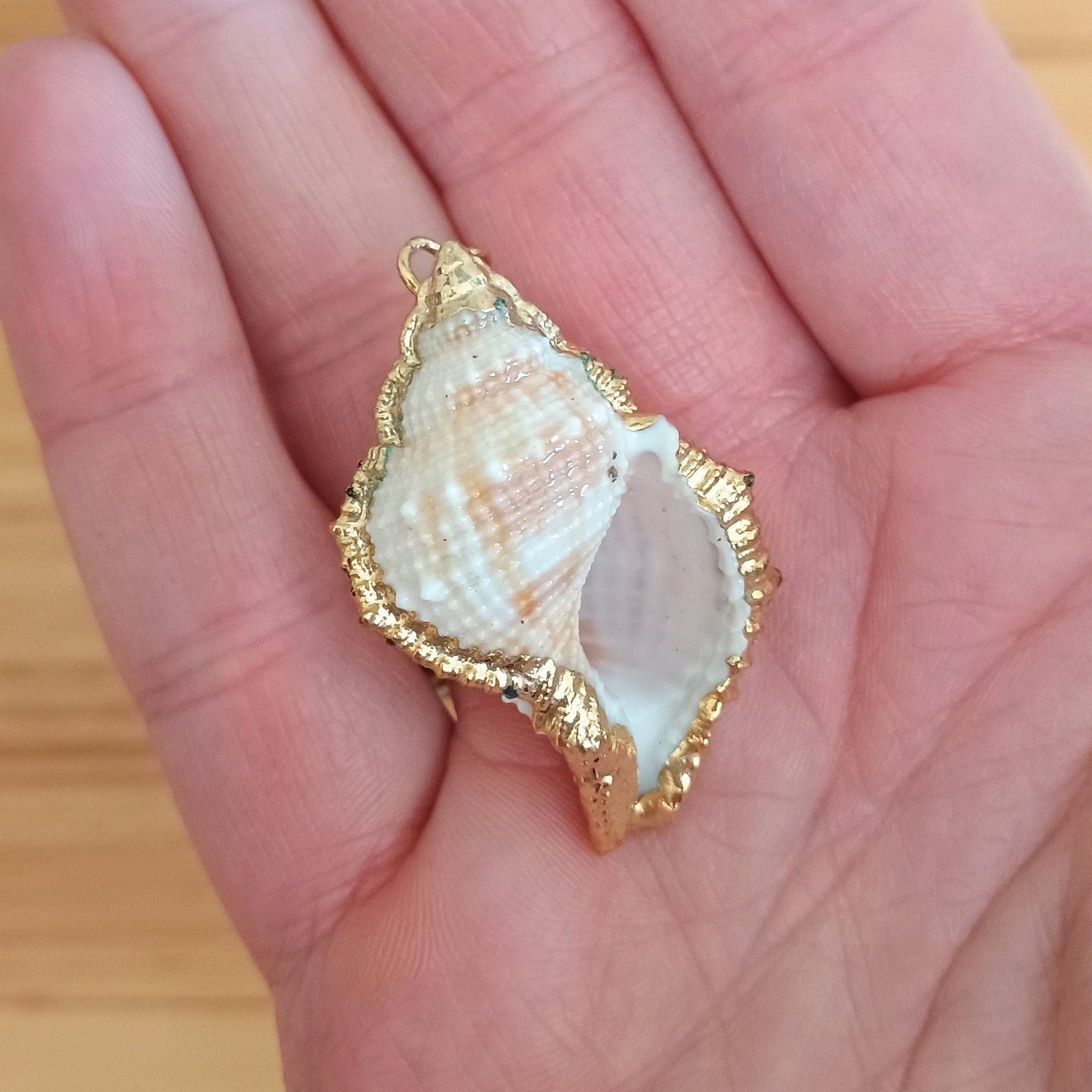 Natural Conch Seashell Pendant Gold Accented Nautical Ocean