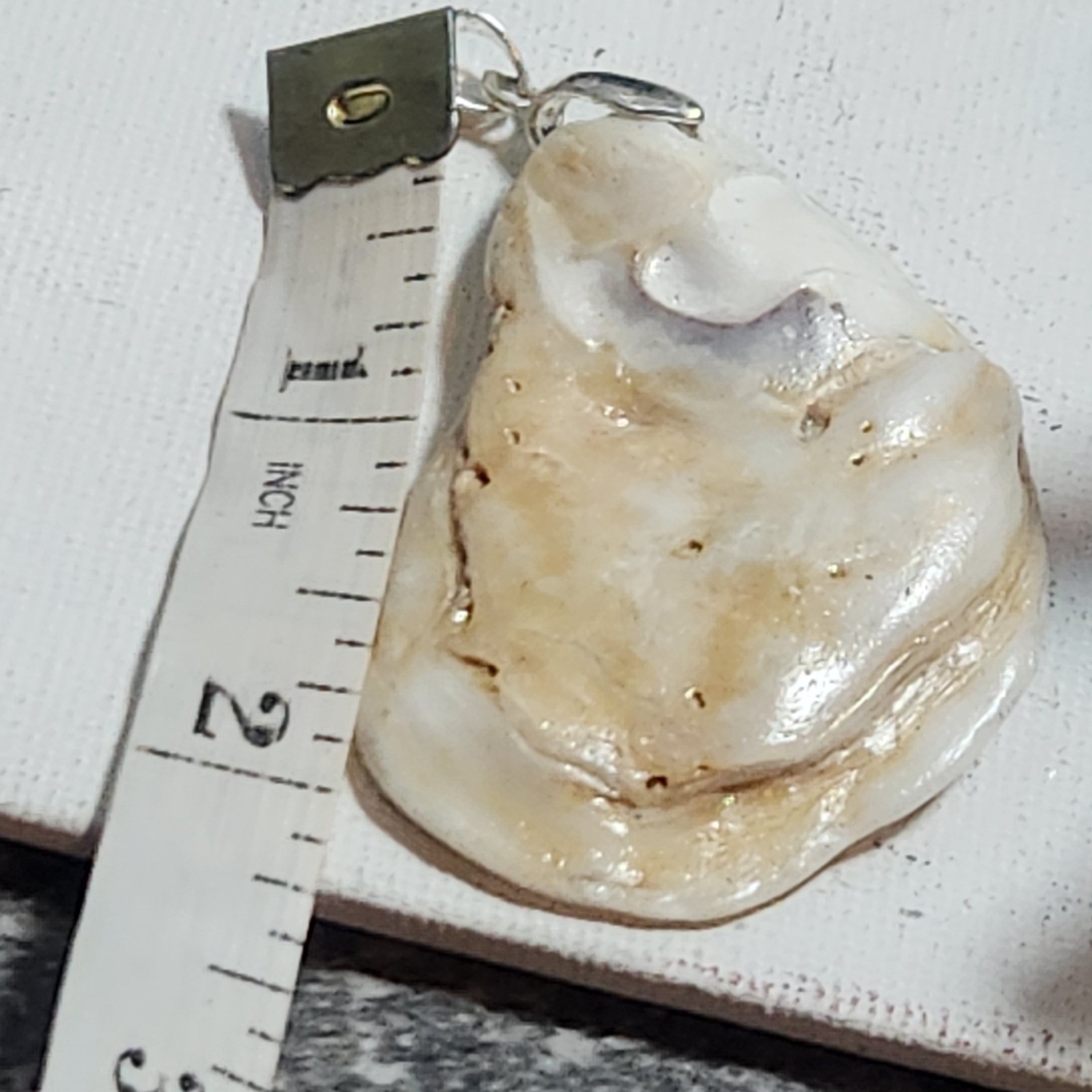 Natural Shell Pendant Organic Coastal Nautical Sea Shell Jewelry 2 Inch