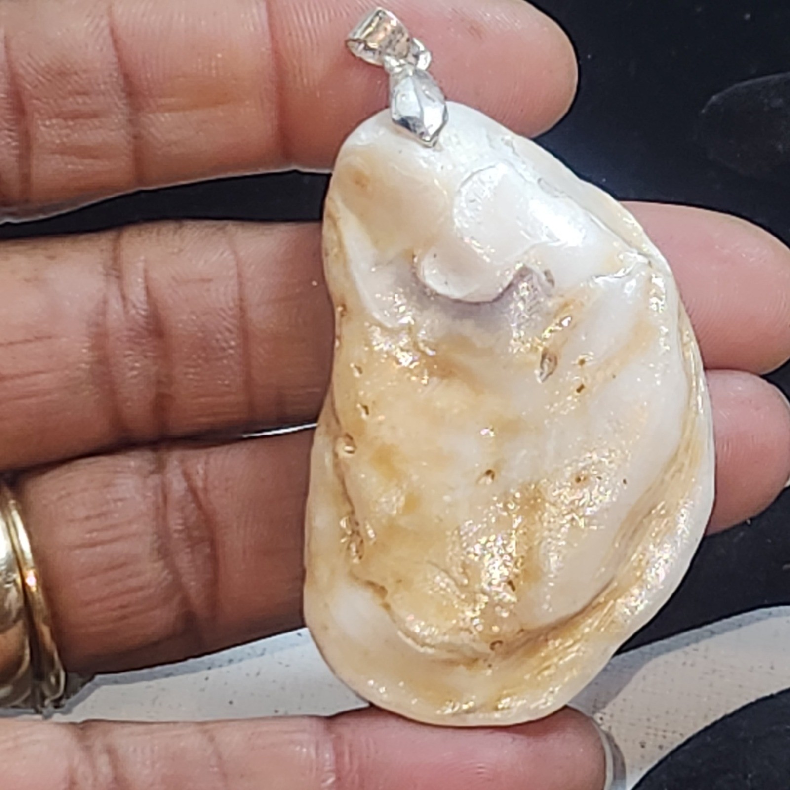Natural Shell Pendant Organic Coastal Nautical Sea Shell Jewelry 2 Inch