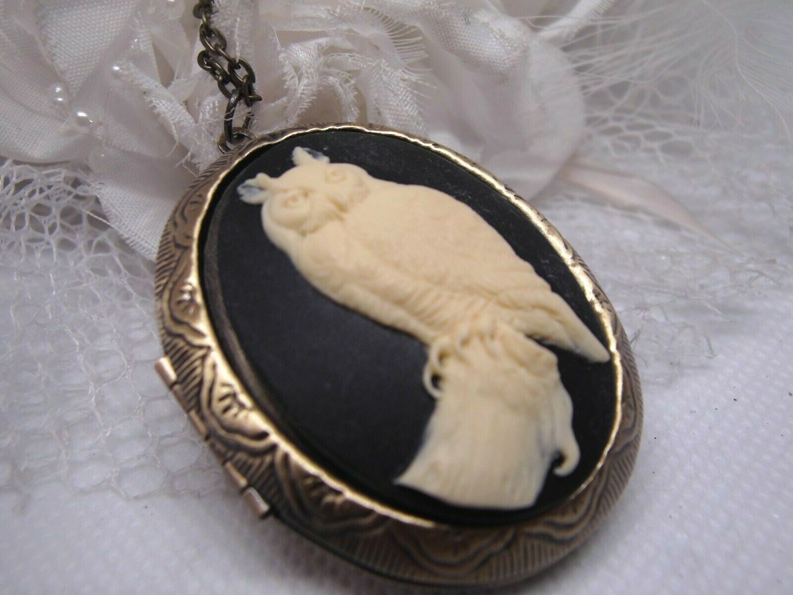 Horned Owl Barn Hoot Cameo PHOTO SILVER Necklace Locket PILL BOX Valentine’s Day