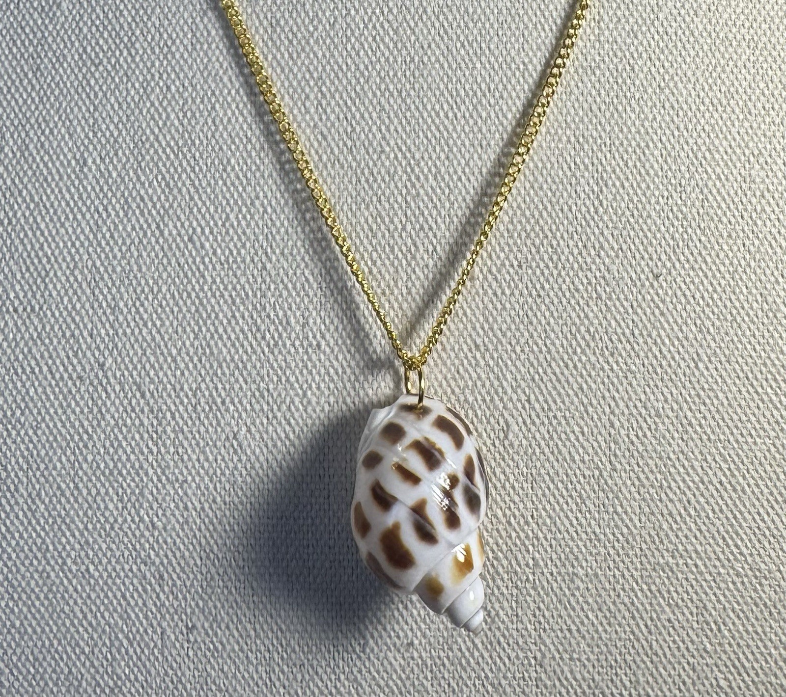 Natural Brown & White Conch Shell Pendant On Golden Chain Made By 927 Designs