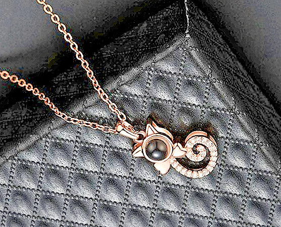 Valentines Day Gift Cat Necklace Display I Love You 100 Languages Wife Mom