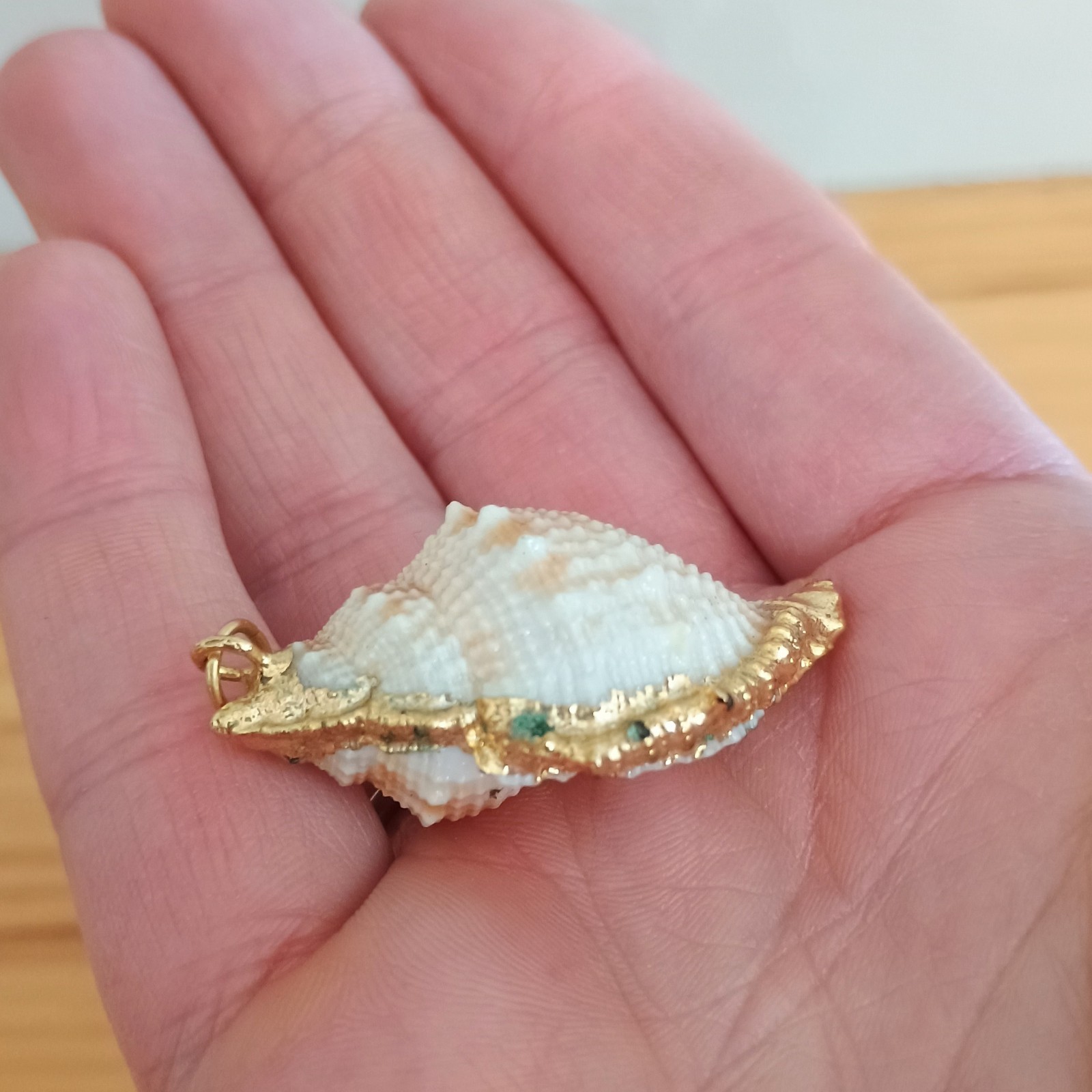 Natural Conch Seashell Pendant Gold Accented Nautical Ocean