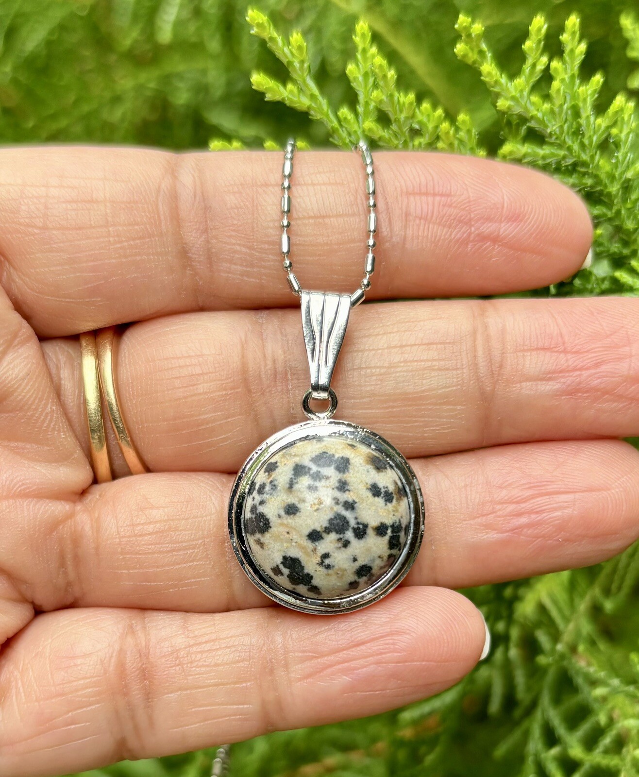 White Gold Filled Dalmation Jasper Fashion Pendant Locket FREE ASSORTED CHAIN #3
