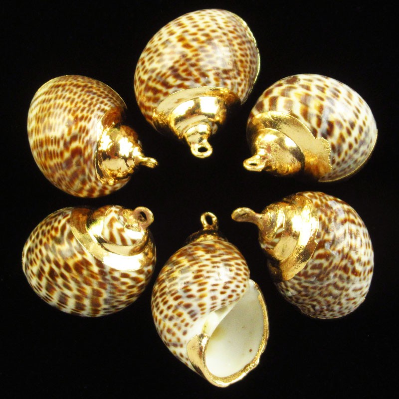 6Pcs 28x20x15mm Natural Gold Plated Nautical Spiral Shell Pendant Bead BK114