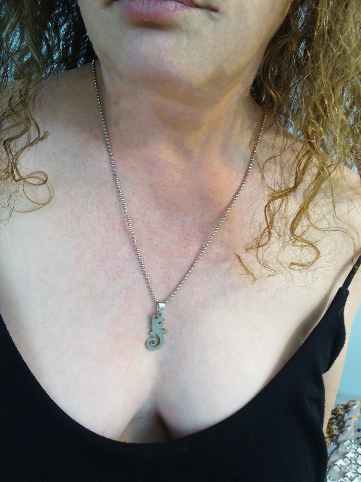 New Large Chrome Stainless Lizard Gecko 25” Steel Ball Chain Unisex Necklace