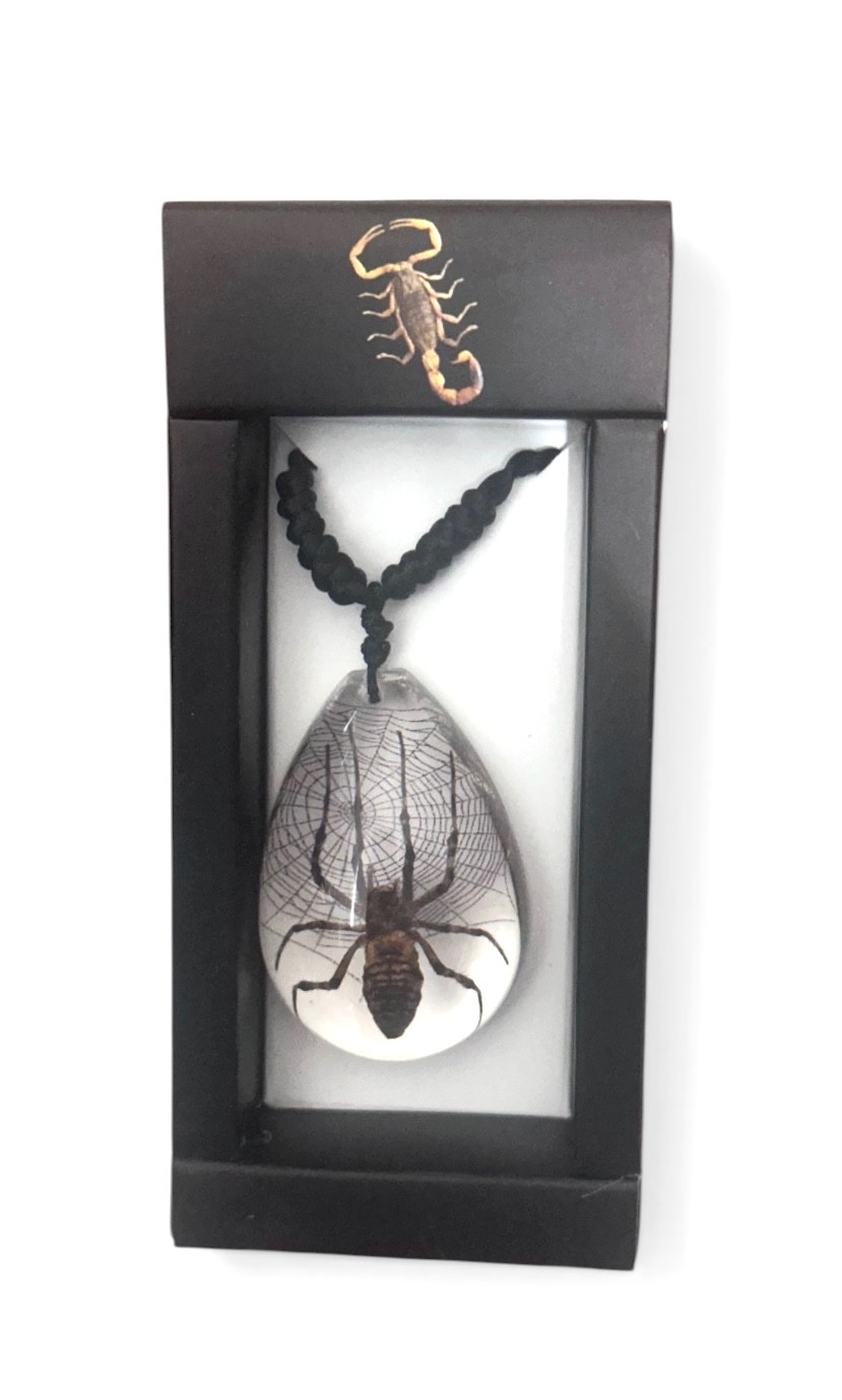 Spider Insect necklace – black Slider cord -pear shape- web – clear background