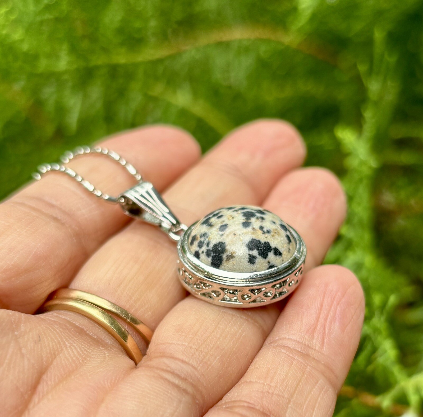 White Gold Filled Dalmation Jasper Fashion Pendant Locket FREE ASSORTED CHAIN #3