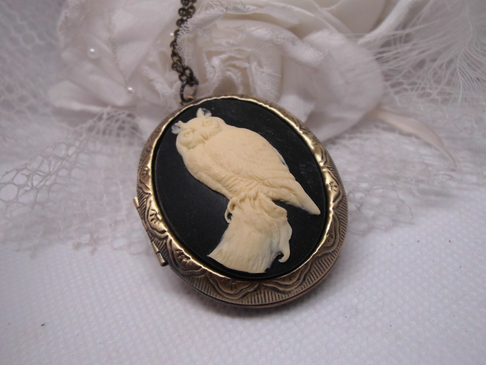 Horned Owl Barn Hoot Cameo PHOTO SILVER Necklace Locket PILL BOX Valentine’s Day