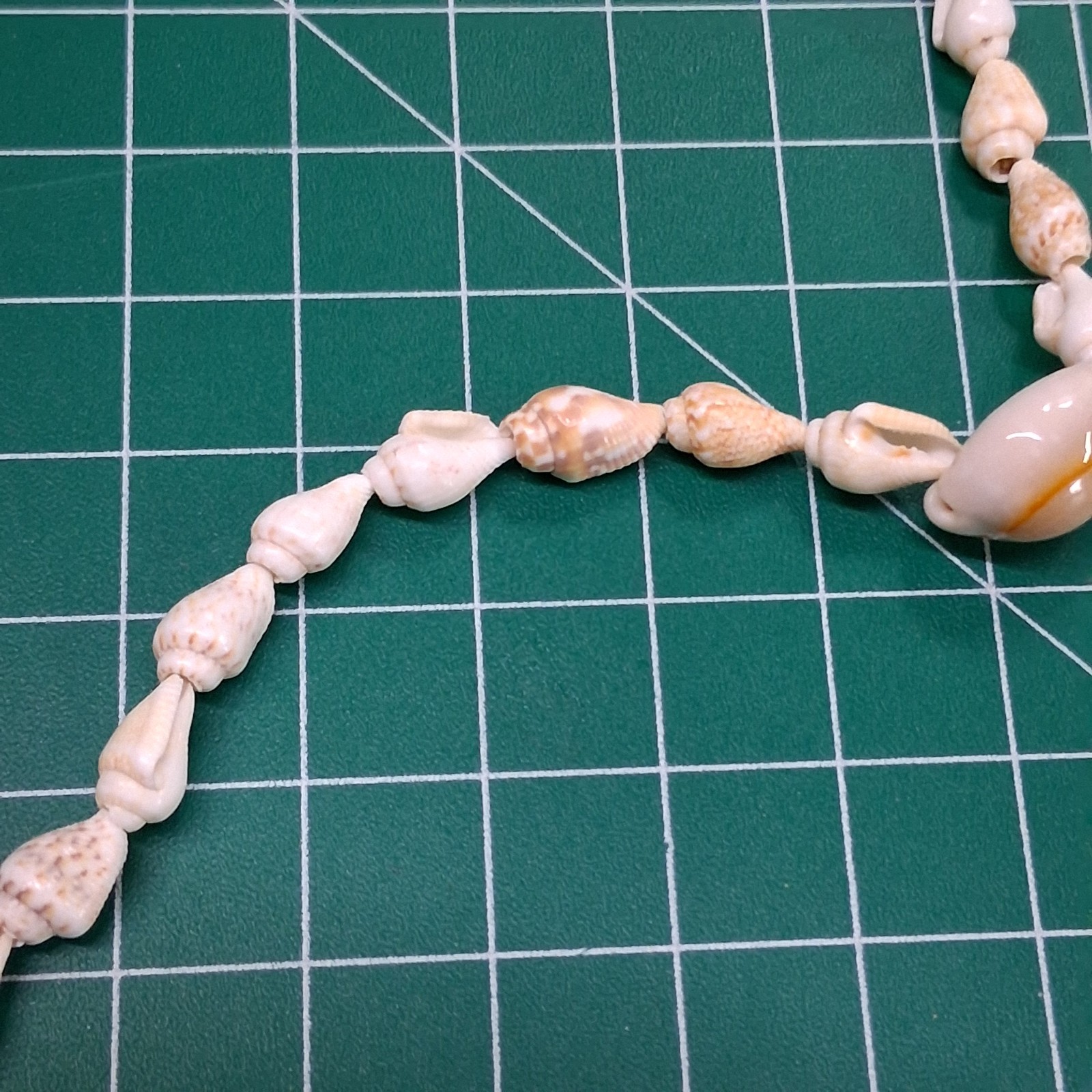 Vintage Small Conch & Glossy Tan Sea Shell 36” Necklace