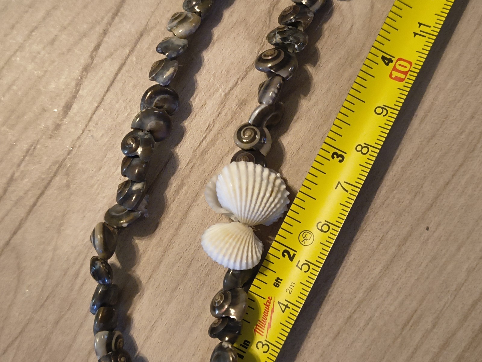 Seashell Long Necklace Great For Summer Fashion Or Anytime You Miss Summer Beach