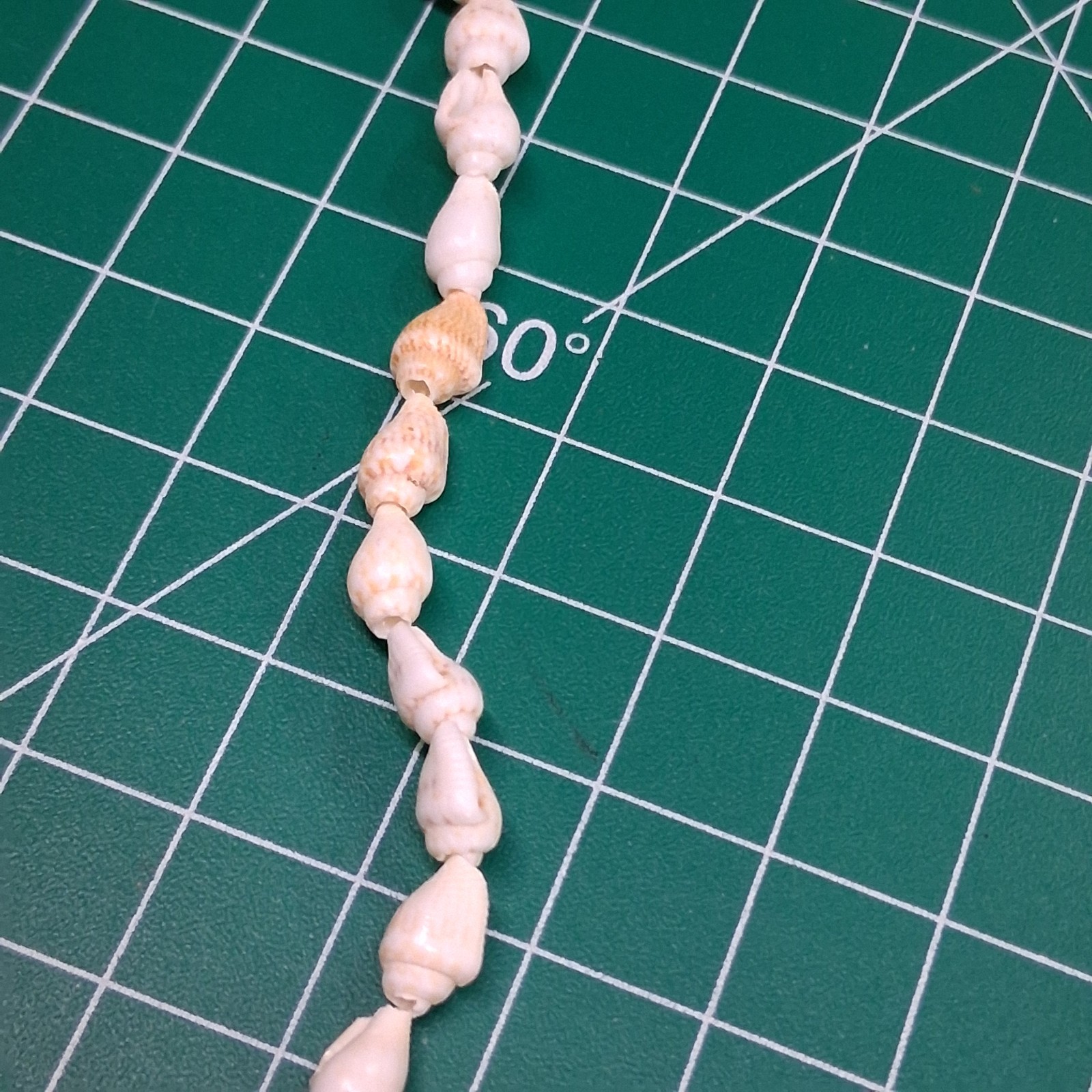 Vintage Small Conch & Glossy Tan Sea Shell 36” Necklace