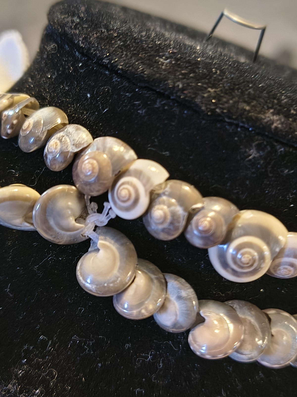 Seashell Long Necklace Great For Summer Fashion Or Anytime You Miss Summer Beach