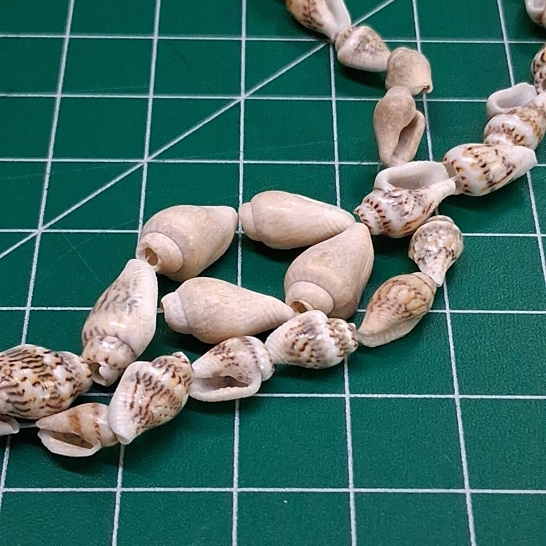 Vintage Brown Miniature Conch Sea Shell 34” Necklace