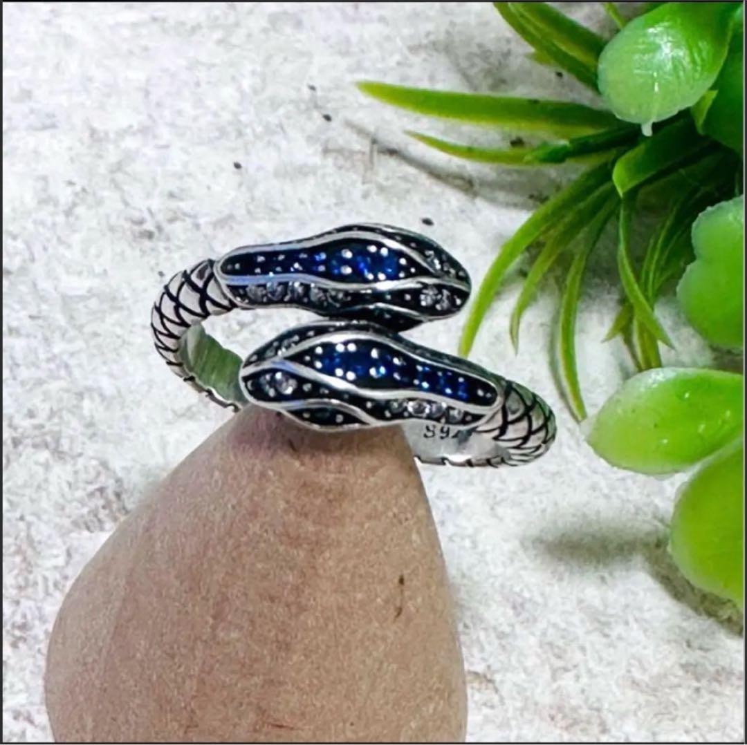 Year Of The Snake Snake Ring Silver 925 Men Women Coiled Snake