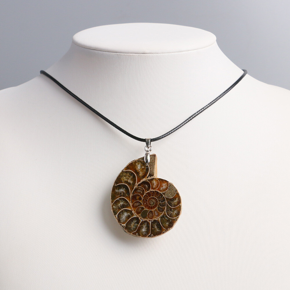 100% Natural Polished Ammonite Fossil Pendant Leather Choker Conch Necklace