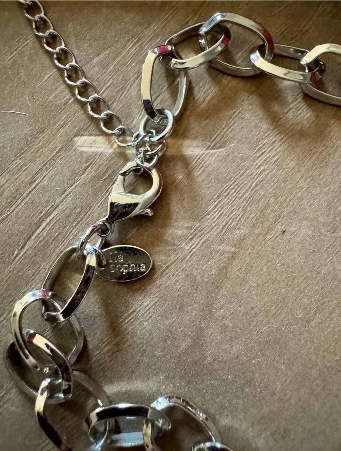 Lia Sophia Silver Tone Link Chain Necklace Adjustable Charm Cluster