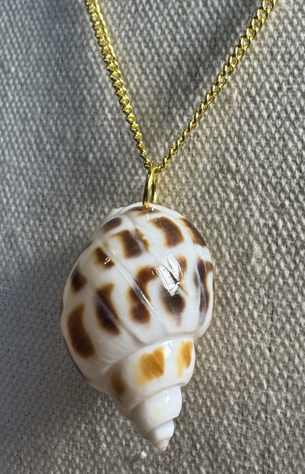 Natural Brown & White Conch Shell Pendant On Golden Chain Made By 927 Designs