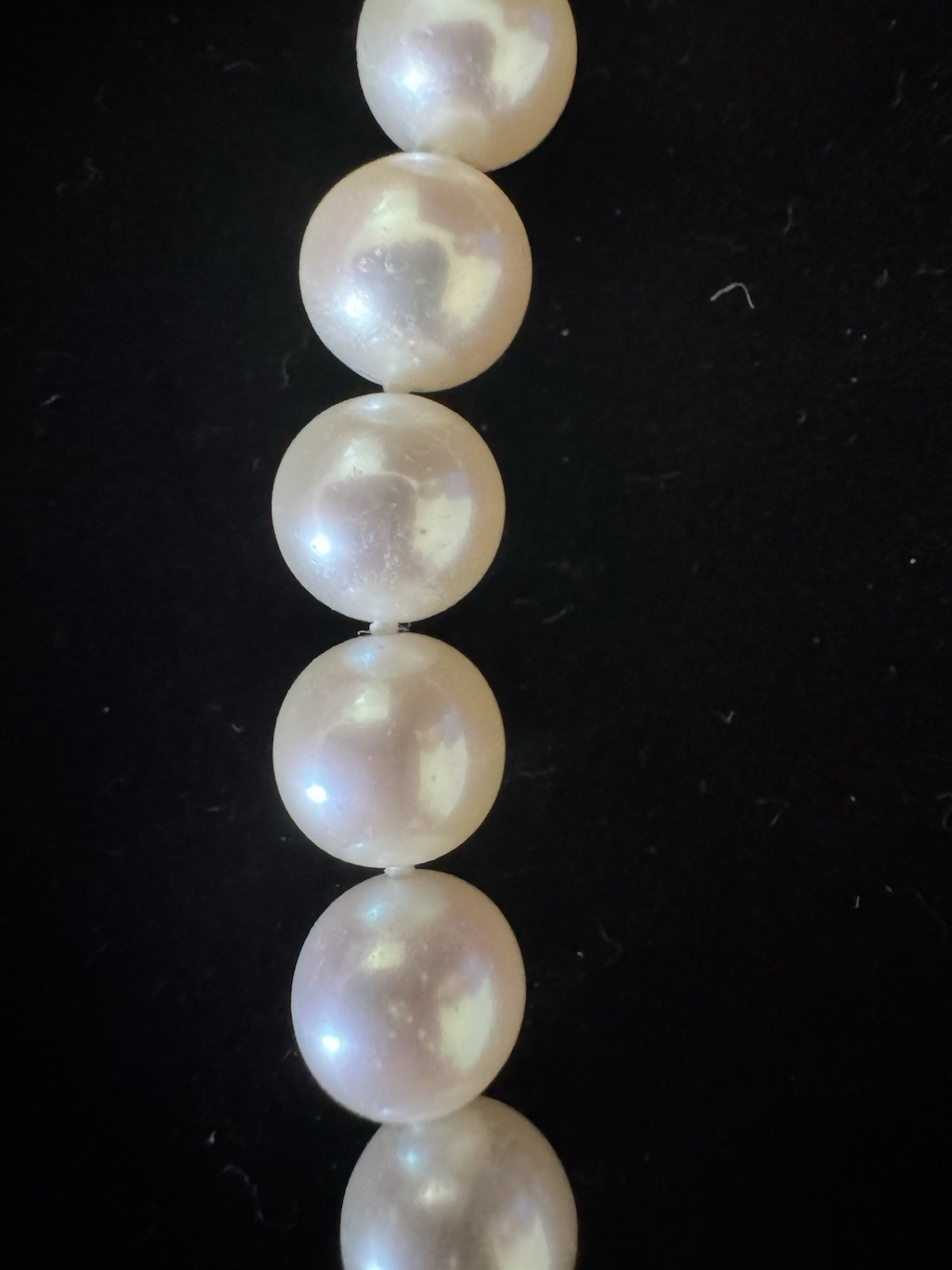 Pearl Necklace