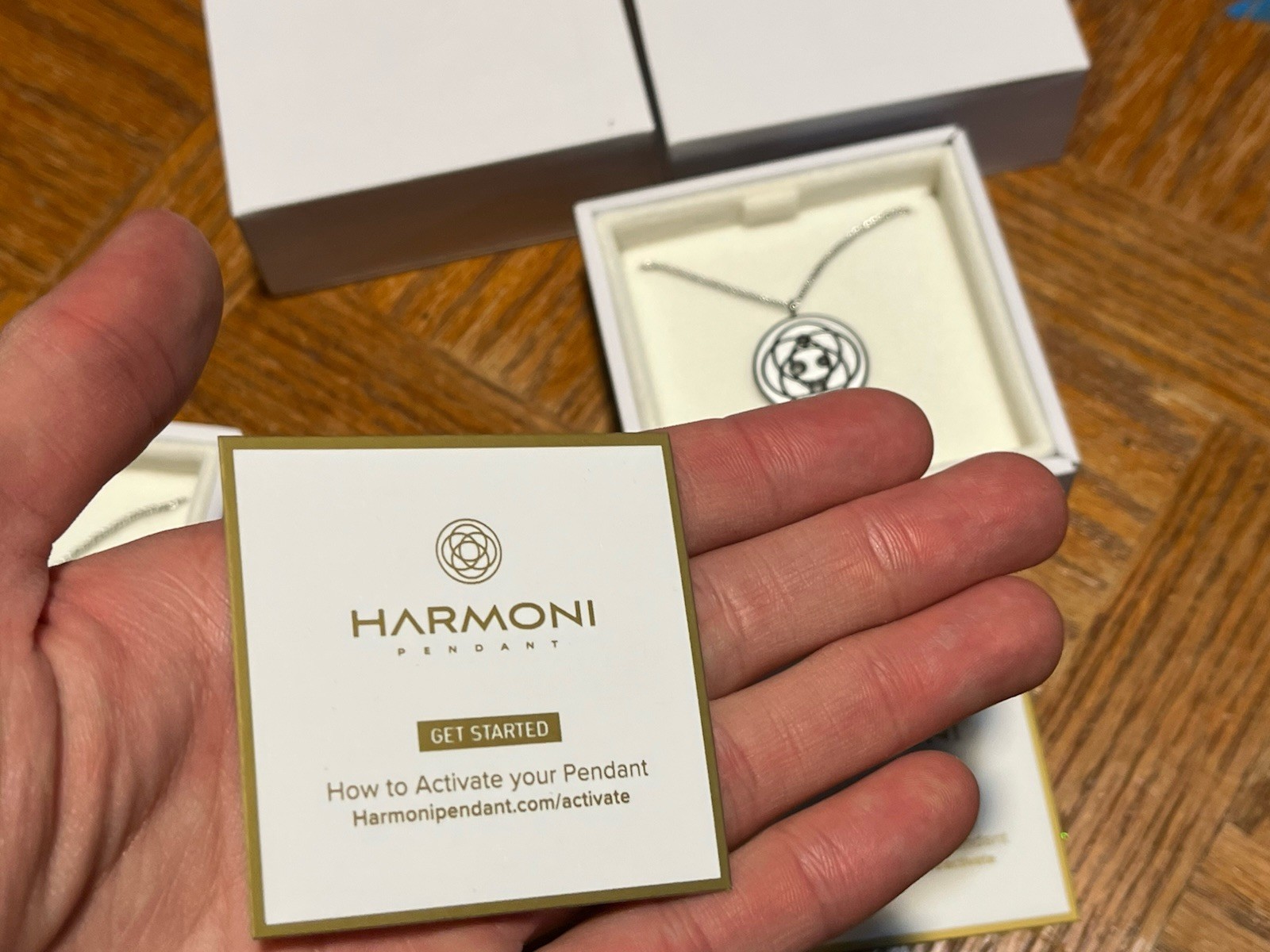 Harmoni EMF Pendant Protection Necklace Stainless Steel Small 20mm Set of 2 !