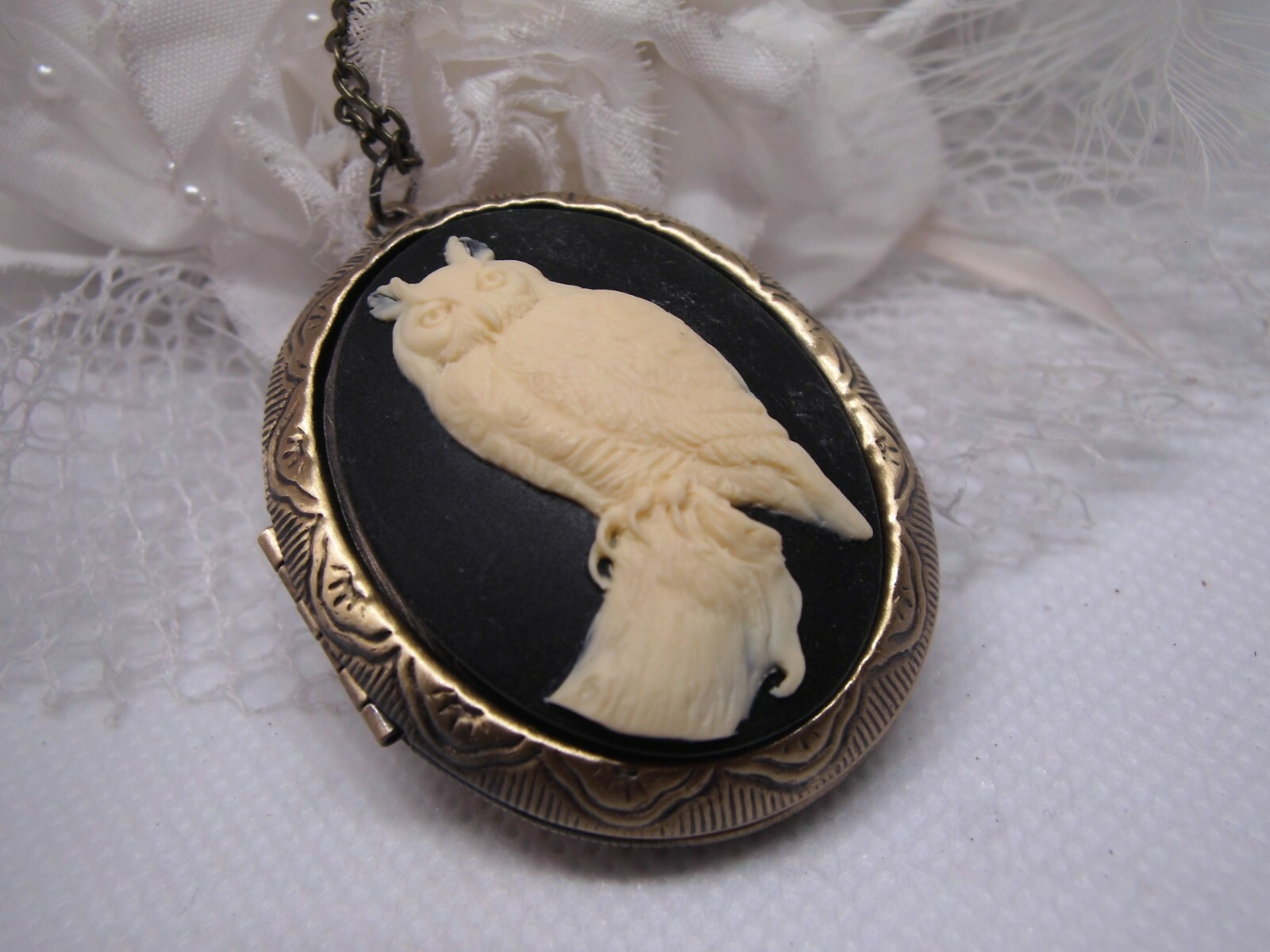 Horned Owl Barn Hoot Cameo PHOTO SILVER Necklace Locket PILL BOX Valentine’s Day