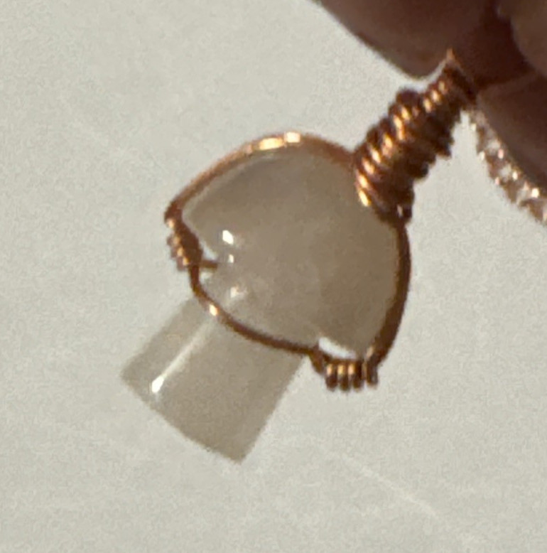 Mushroom Agate Pendant Necklace Jewelry Rose Gold Tone 24″ Chain Genuine Stone
