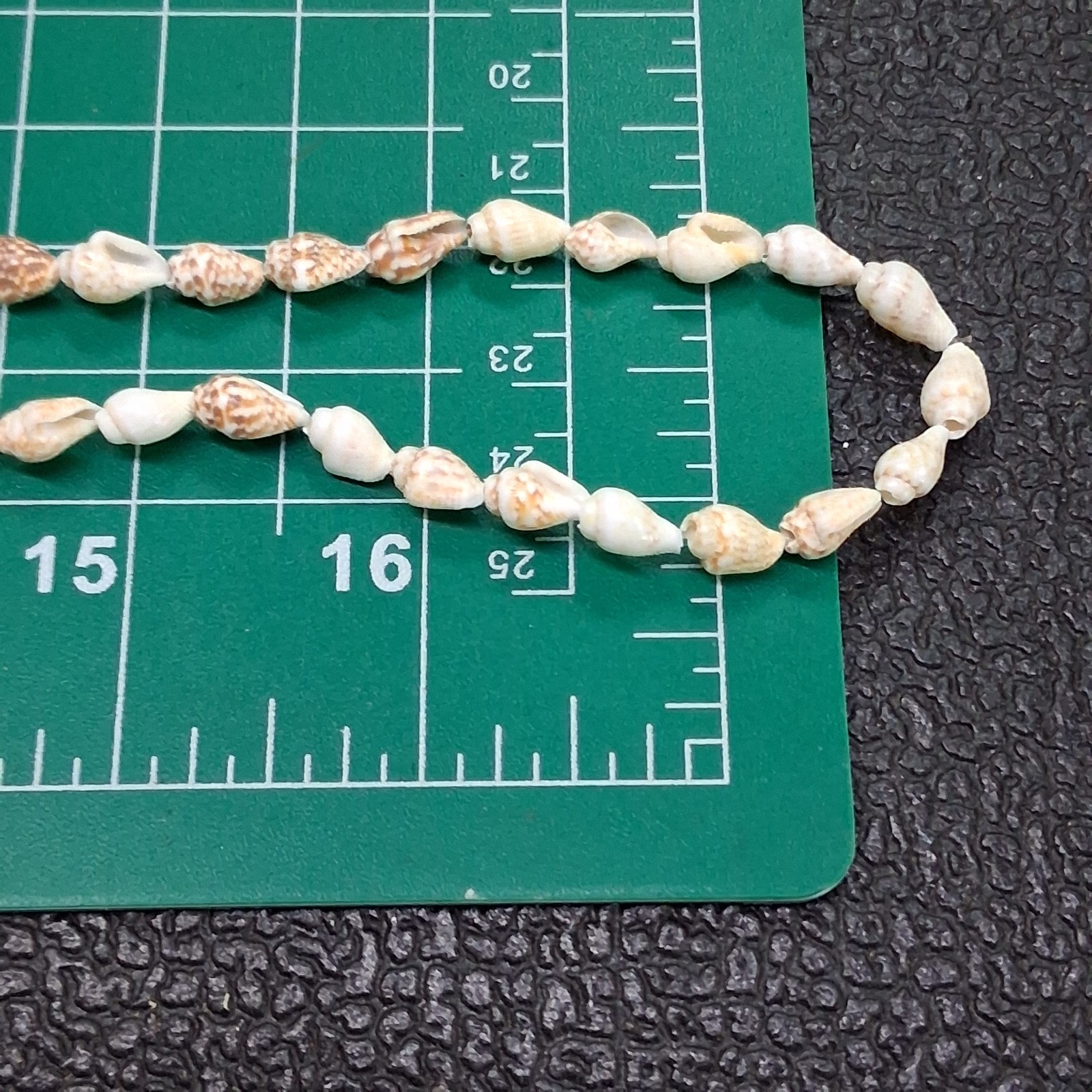 Vintage Small Conch & Glossy Tan Sea Shell 36” Necklace