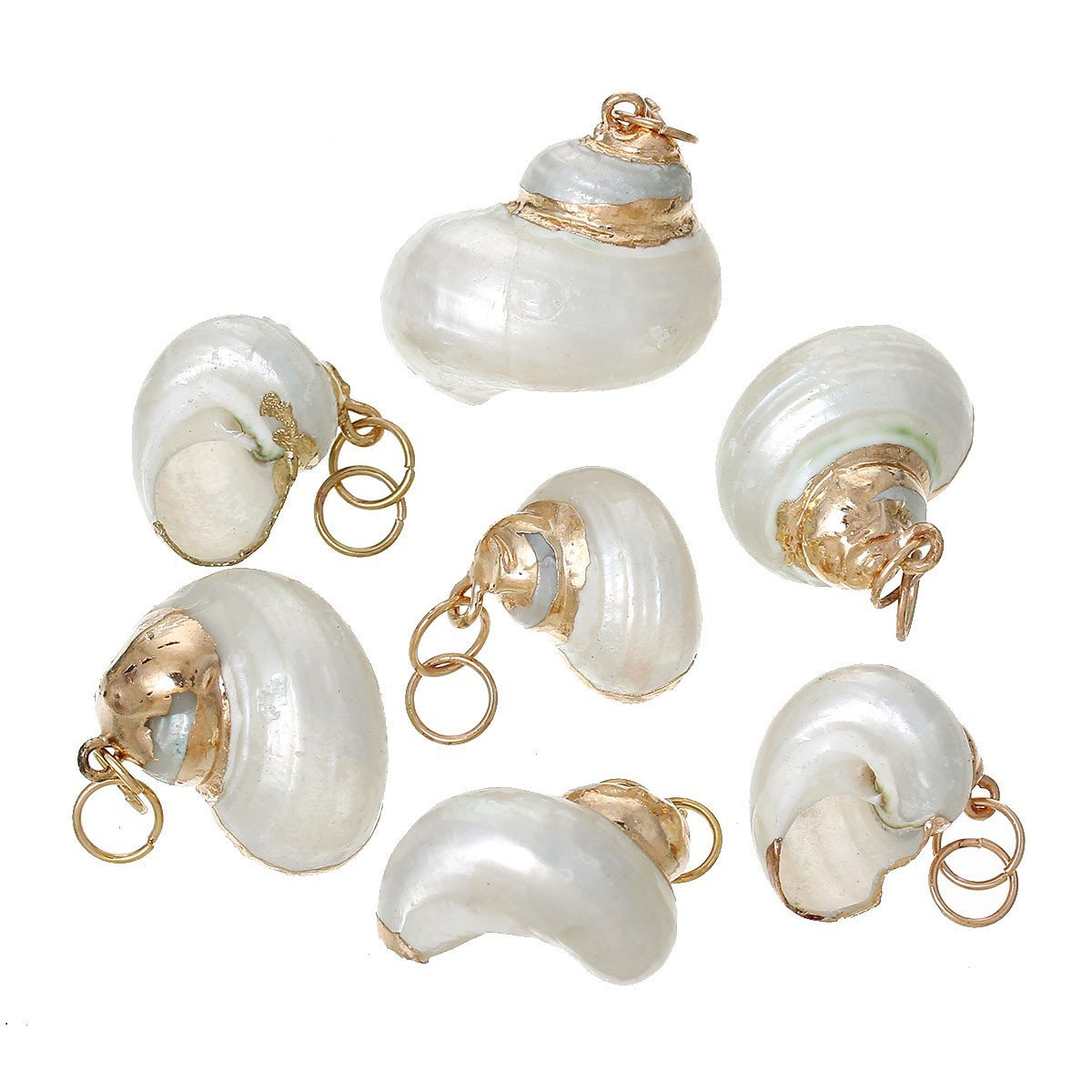Sexy Sparkles 5 Pcs Natural Shell Conch Sea Snail Shape Charm Pendant 4cm x 2.1c