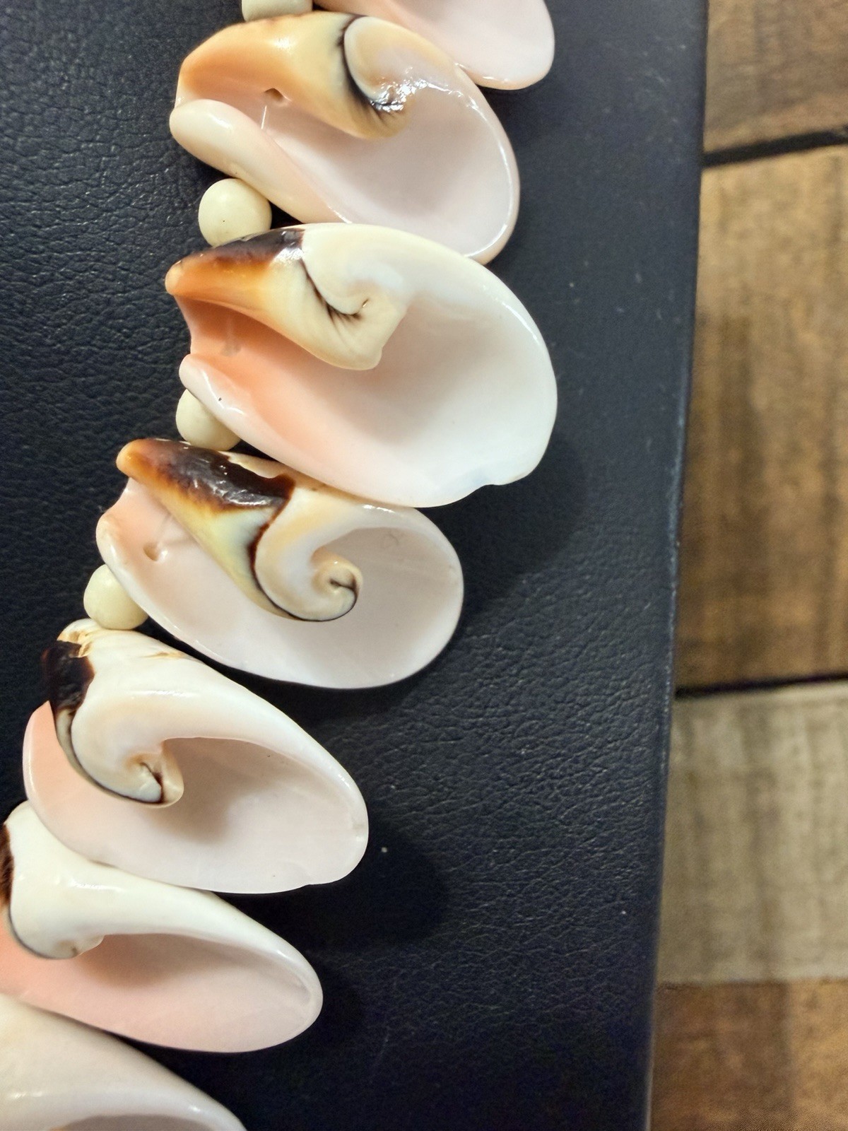 Conch Shell Necklace Sea Shell Beach