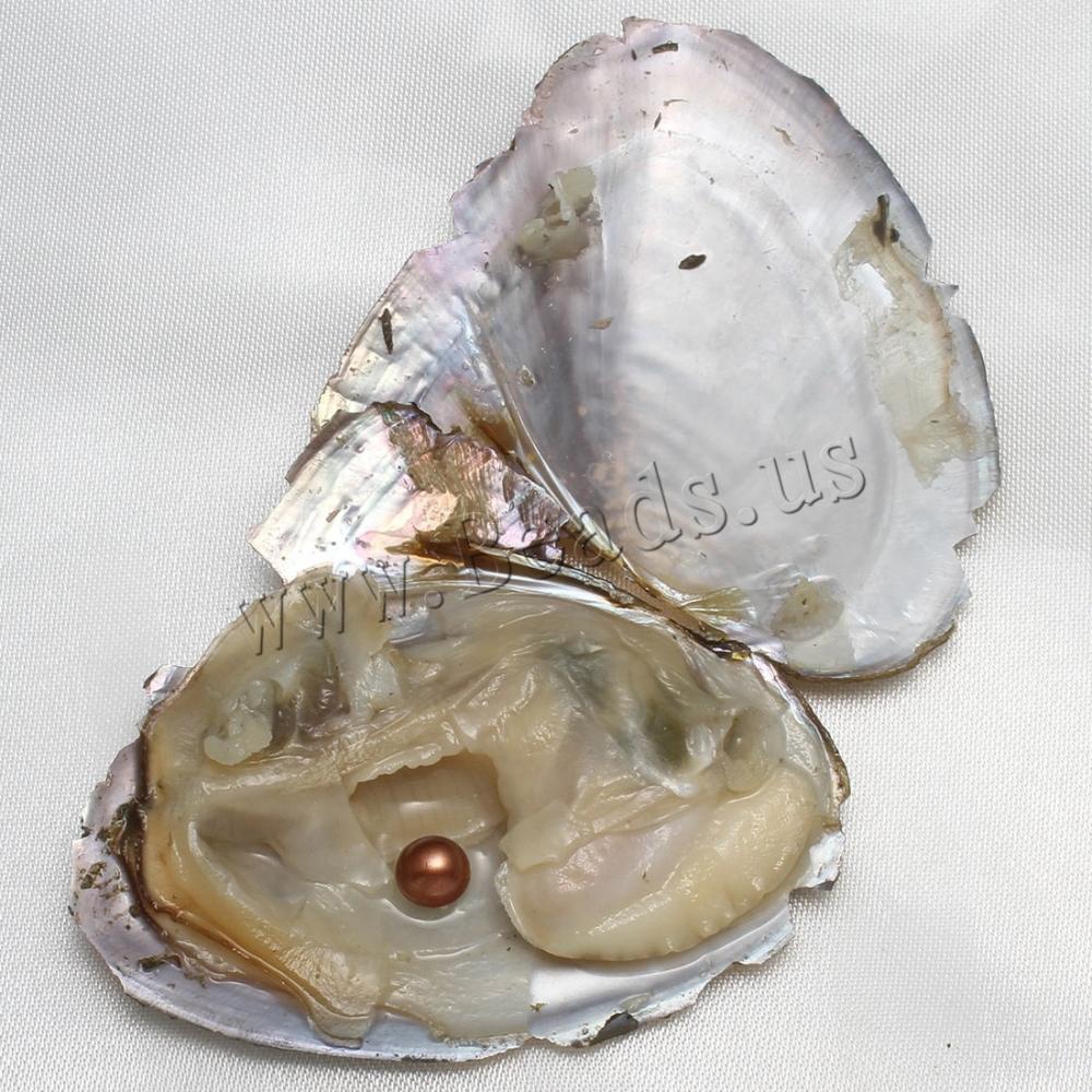 10PCS Natural Akoya Pearl Oysters Real Pearl Freshwater Pearl 7-8mm Holiday Gift