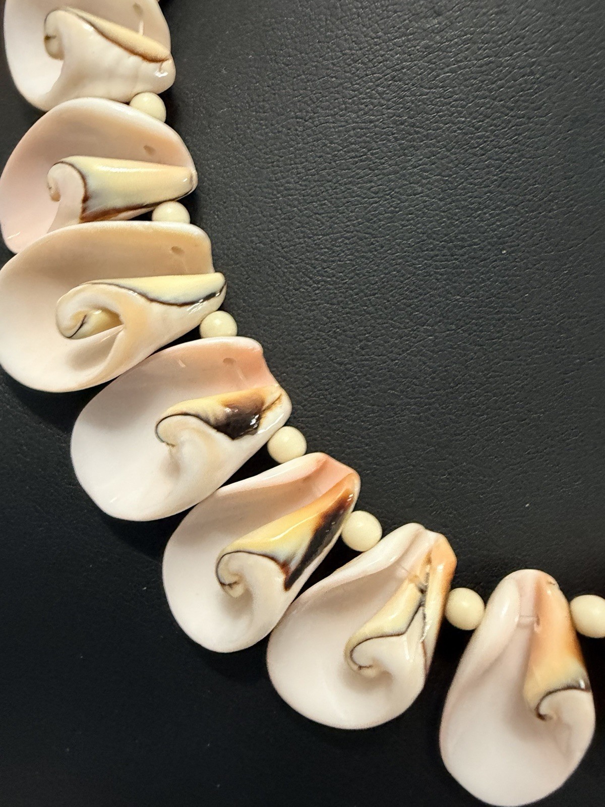 Conch Shell Necklace Sea Shell Beach