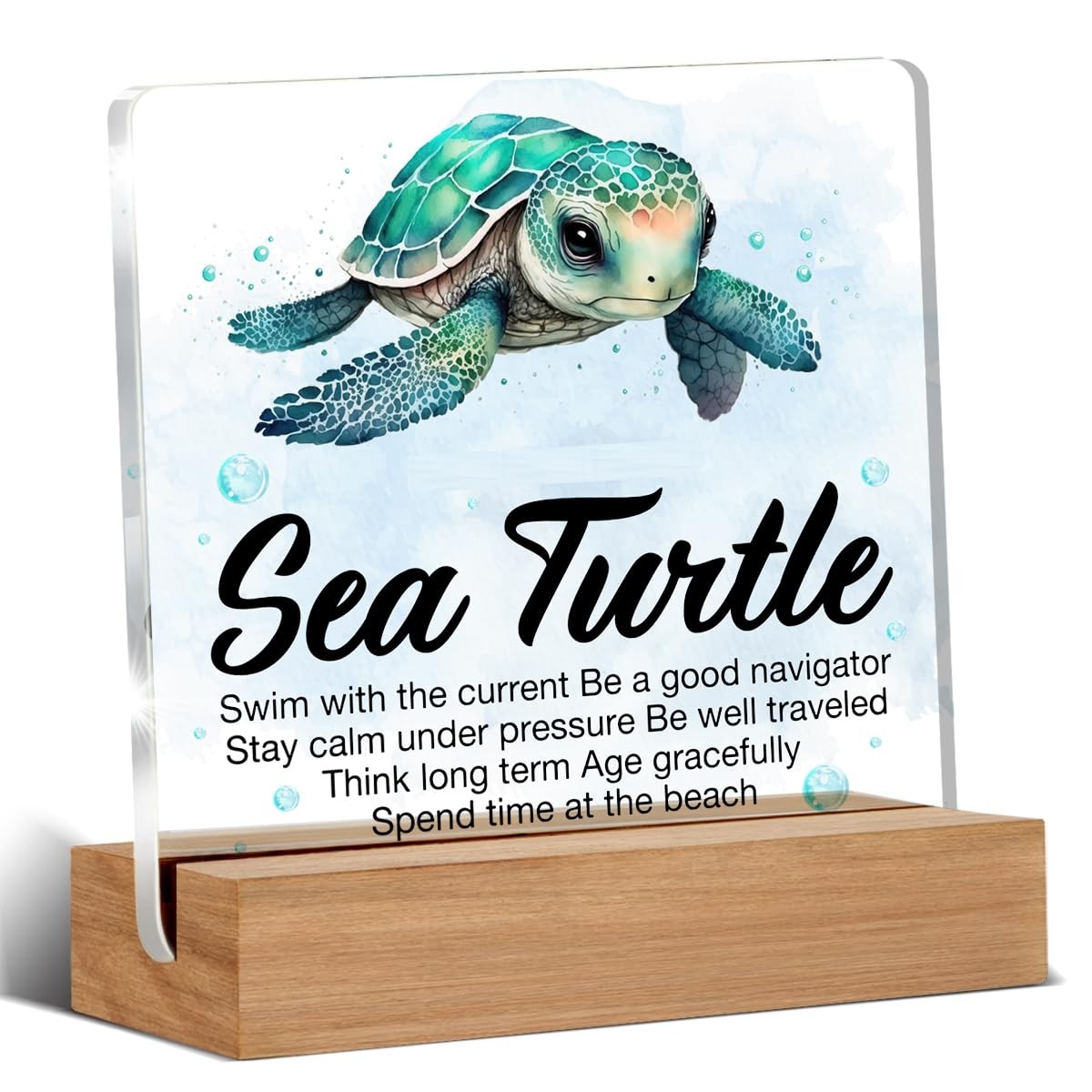 Inspirational Motivational Gifts – Turtle Gifts for Women Men – Sea Turtle Clear