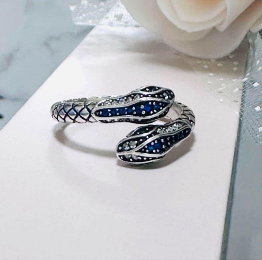 Year Of The Snake Snake Ring Silver 925 Men Women Coiled Snake