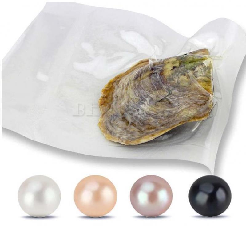 10XNatural Akoya Pearl Oysters Real Pearl Freshwater Pearl Holiday Gift 7-8mm