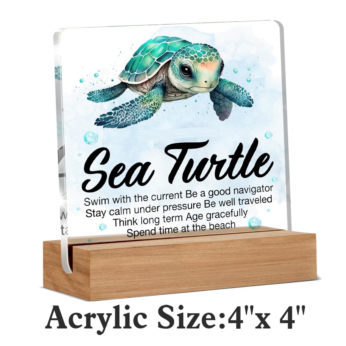 Inspirational Motivational Gifts – Turtle Gifts for Women Men – Sea Turtle Clear