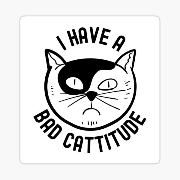 CAT ATTITUDE FUNNY Pendant 925 Silver 22″ Chain Necklace Ladies Women Men Gift