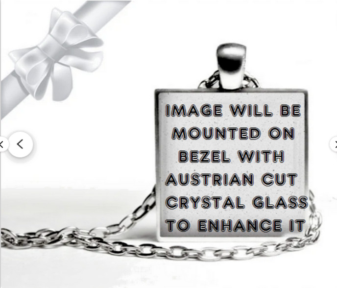 CAT ATTITUDE FUNNY Pendant 925 Silver 22″ Chain Necklace Ladies Women Men Gift